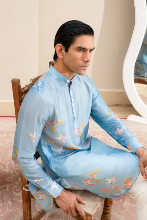 Light Blue Butterfly Printed Kurta