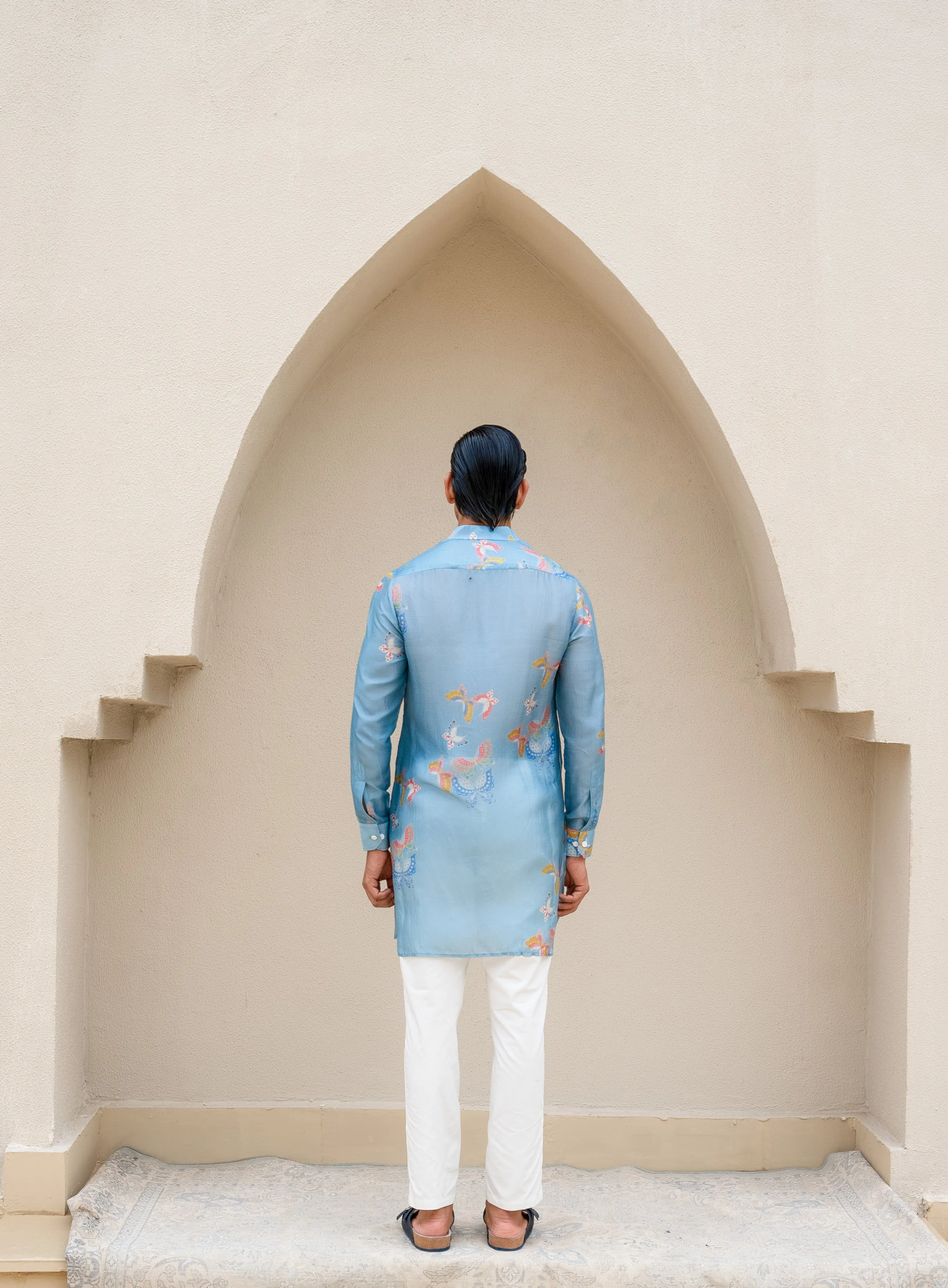 Light Blue Butterfly Printed Kurta