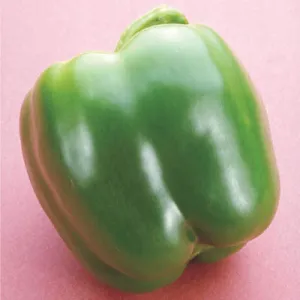 Pepper Red Knight F1 Seed