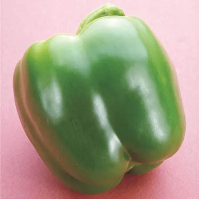 Pepper Red Knight F1 Seed